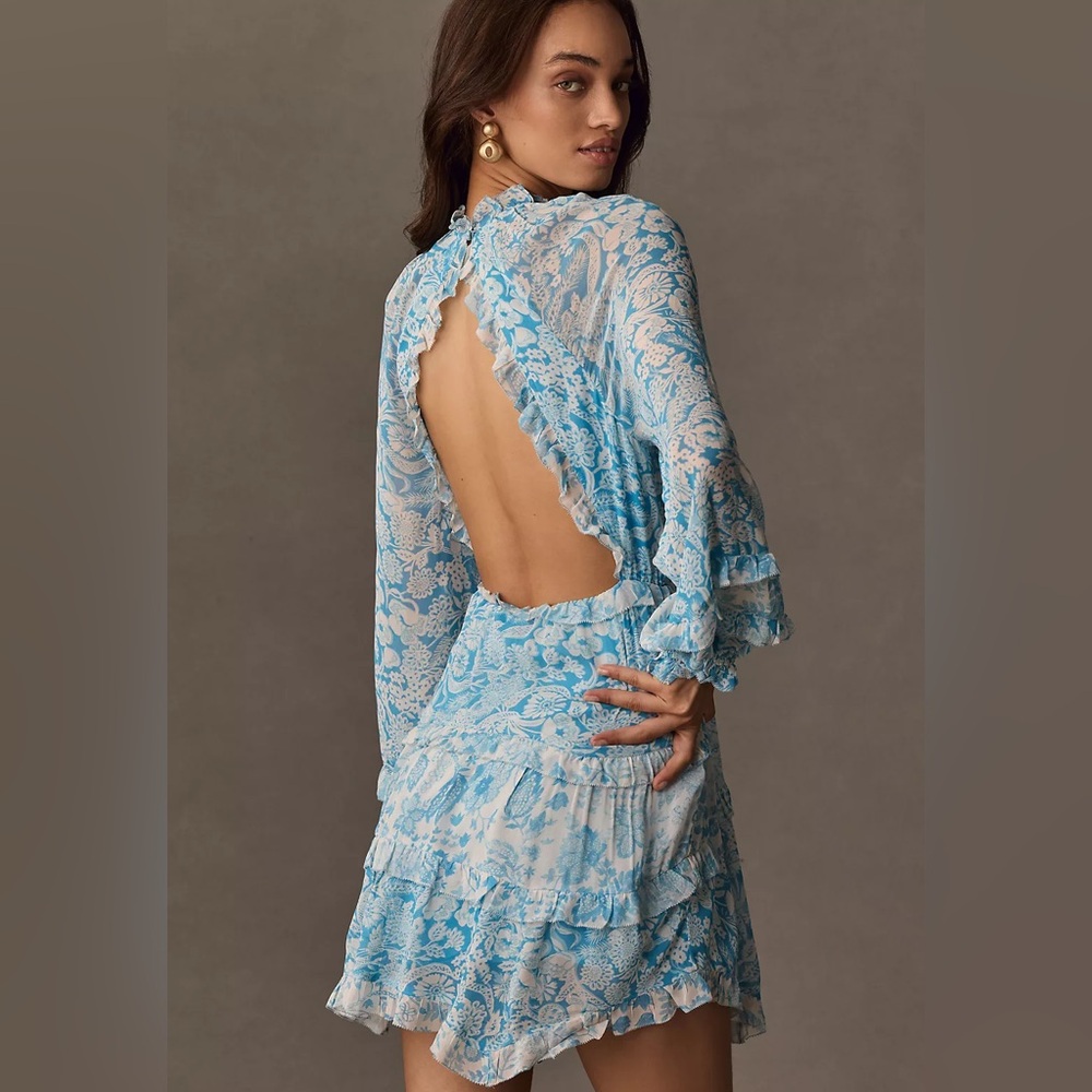 Anthropologie Long-Sleeve Backless Sheer Ruffle Mini Dress , Size L